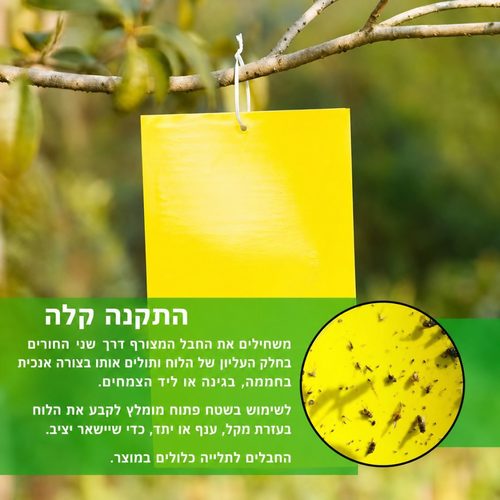10 יח' מלכודת דבק מקצועית למזיקים – צהוב, גודל XL