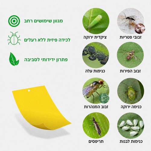 10 יח' מלכודת דבק מקצועית למזיקים – צהוב, גודל XL
