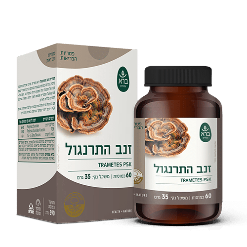 ברא זנב התרנגול פטריית מרפא 60 כמוסות | ברא צמחים Trametes Versicolor