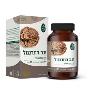 ברא זנב התרנגול פטריית מרפא 60 כמוסות | ברא צמחים Trametes Versicolor