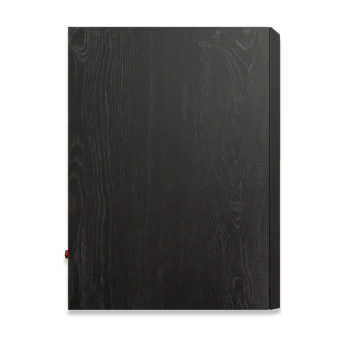 רמקול מדפי 5.25 אינץ שחור- זוק בקרטון RP-500M II EBONY