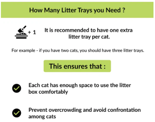 ארגז צרכים פתוח לחתולים אמפט שרבין - M Pets Sherbin Litter Tray
