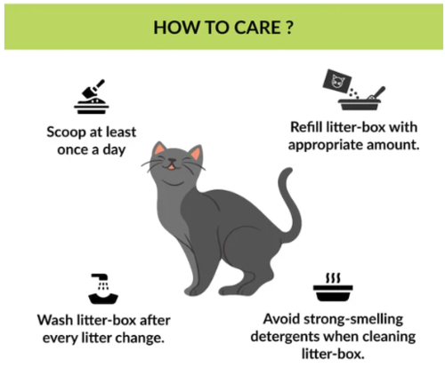 ארגז צרכים פתוח לחתולים אמפט שרבין - M Pets Sherbin Litter Tray