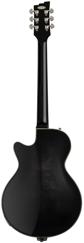 זווית נוספת duesenberg dtv-bpr electric guitar