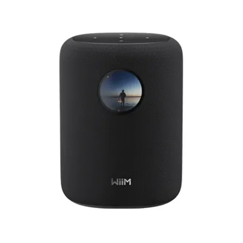 Wiim Sound רמקול חכם