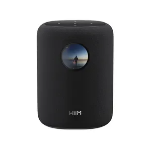 Wiim Sound רמקול חכם