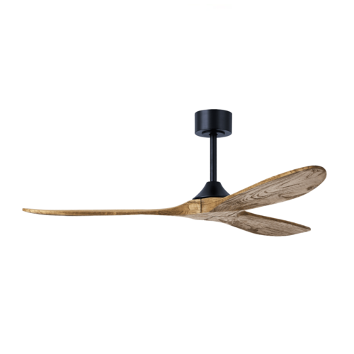 APOLO CLEAR WALNUT