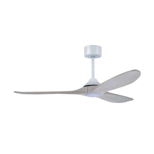 APOLO CLEAR WHITE + L
