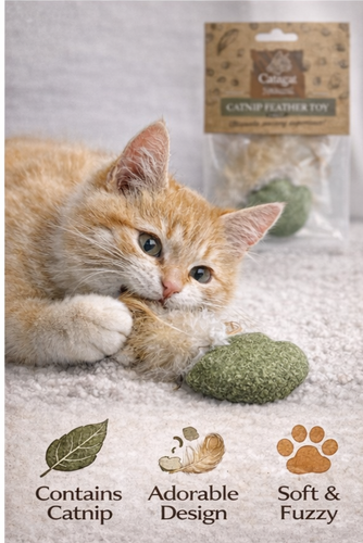 קטגט מארז דגי קטניפ עם נוצות לחתול 2 יח' Catagat Natural