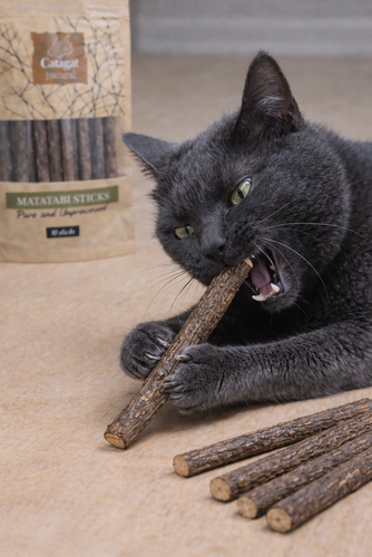 קטגט מארז מקלות מטאטבי טבעיים לחתול 10 יח' Catagat Natural