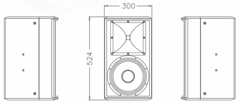 רמקול KTV דו-כיווני 10 אינץ' 10