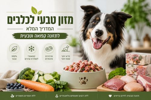 מזון טבעי לכלבים — מדריך מלא לתזונה קפואה | חיות בעיר רחובות