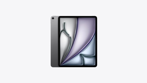 Apple iPad 13