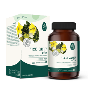  קוטב מצוי טריבולוס ברא