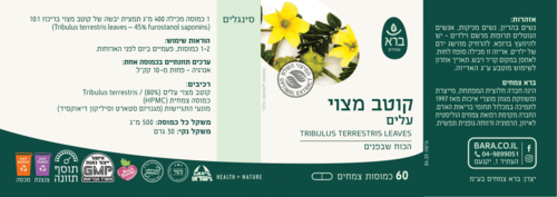  קוטב מצוי טריבולוס ברא