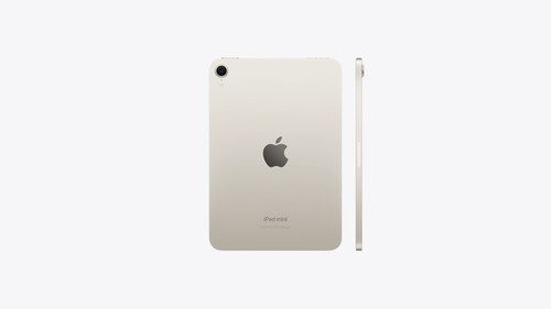 Apple iPad 8.3