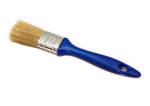 מברשת ברק 