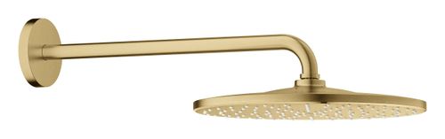 ראש מקלחת עגול + זרוע מקלחת RAINSHOWER זהב מוברש | Grohe
