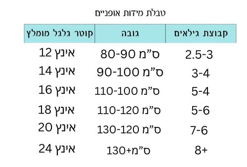 אופניים בעיצוב וינטג' לילדים ונוער עם סלסלה וגלגלי 