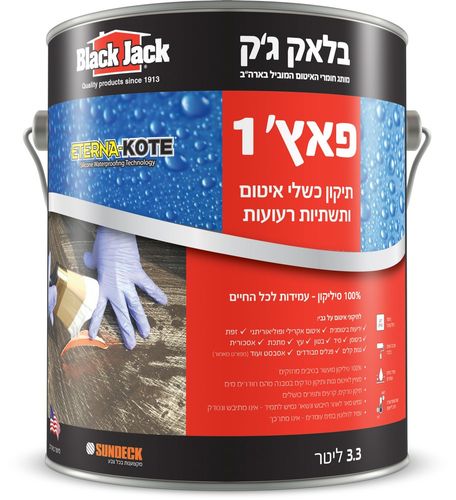 בלאק ג'ק פאץ' 1 - תיקון כשלי איטום ותשתיות רעועות - גלון 3.3 ליטר