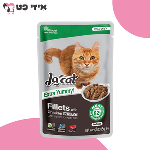 פאוץ