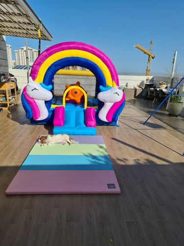 מתנפח חד קרן 8004 מבית Happy Hop - מבט נוסף על המתקן
