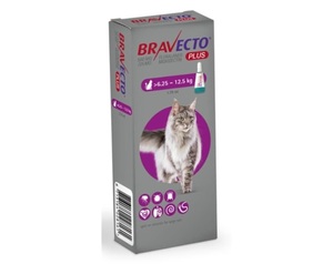 BRAVECTO ברבקטו פלוס אמפולה נגד פרעושים וקרציות לחתול |6.25-12.5 ק"ג