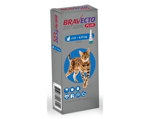 BRAVECTO ברבקטו פלוס אמפולה נגד פרעושים וקרציות לחתול | 2.8-6.25 ק