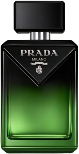 Prada Paradigme 100ML Parfum פרדה פרדיגמה לגבר