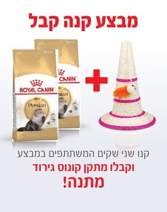 קנו 2 שקי רויאל קנין Royal canin לחתול פרסי 4 ק"ג - קבלו מתקן קונוס גירוד מתנה!