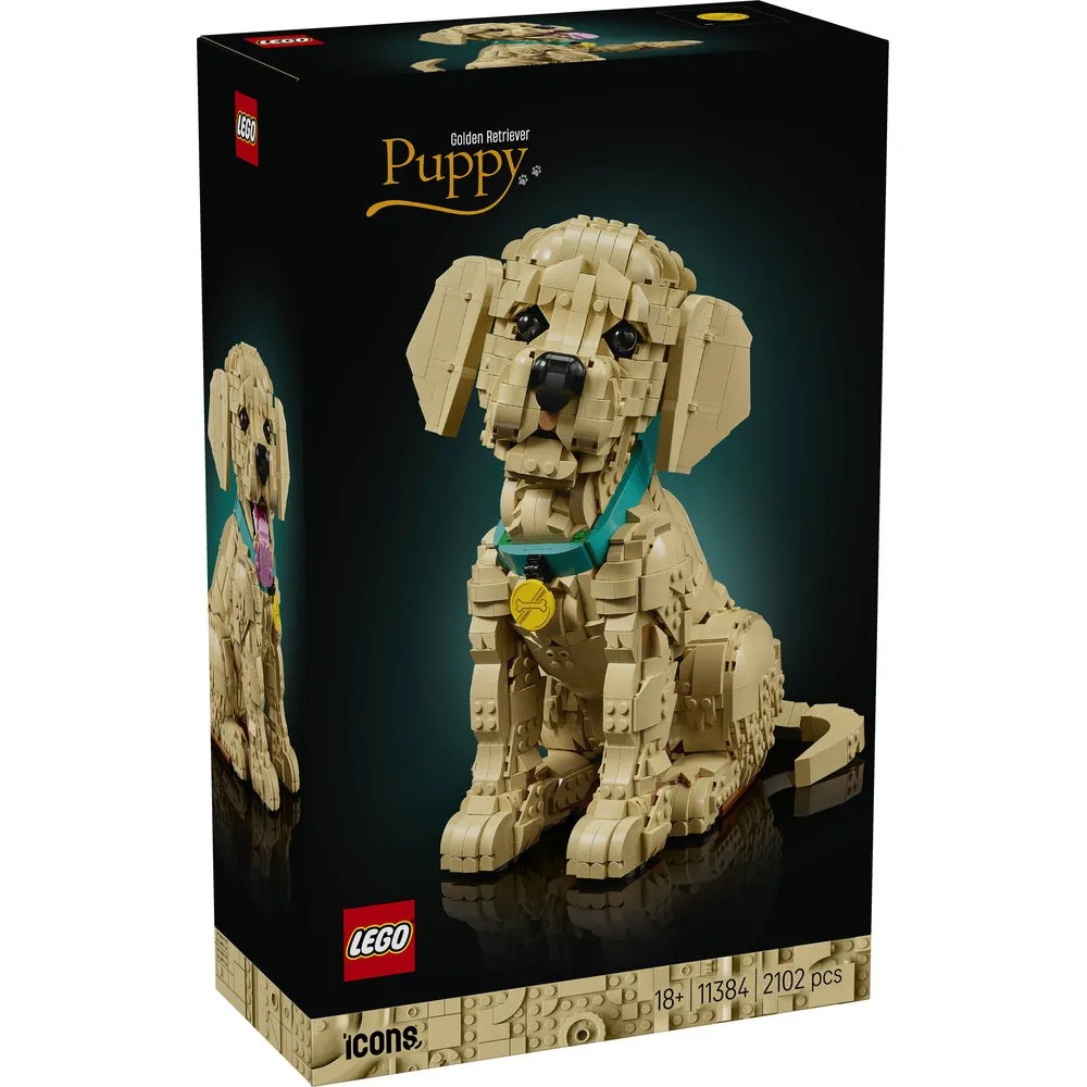 לגו גור גולדן רטריבר LEGO Icons Golden Retriever Puppy 11384