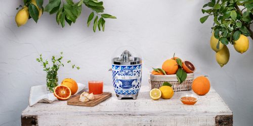 מסחטת הדרים דולצ’ה וגבאנה כחול לבן