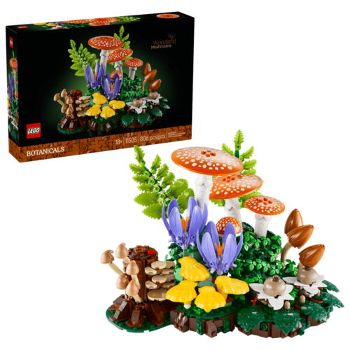 Woodland Mushrooms