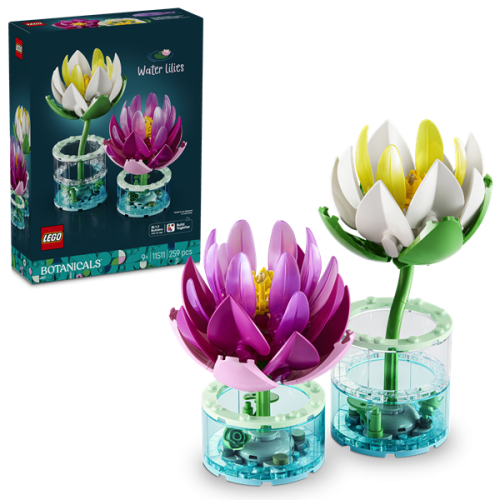 Water Lilies	