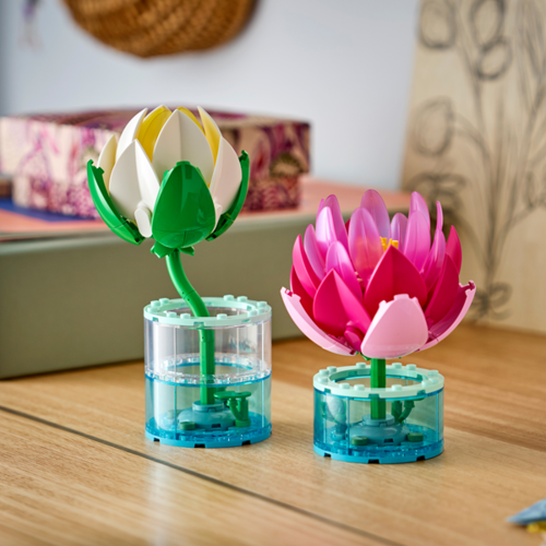 Water Lilies	