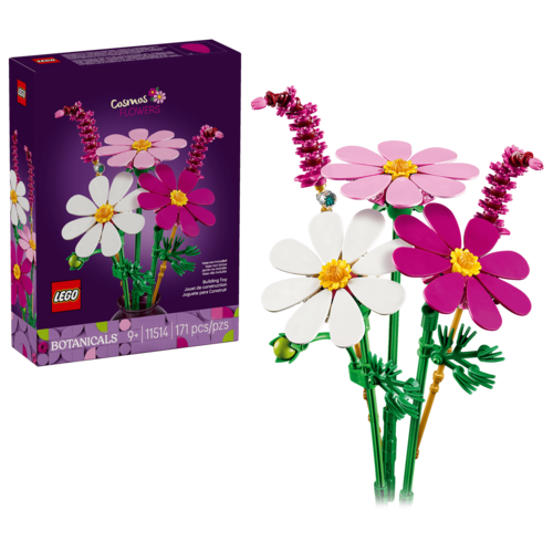 Cosmos Flowers