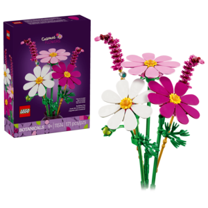 Cosmos Flowers
