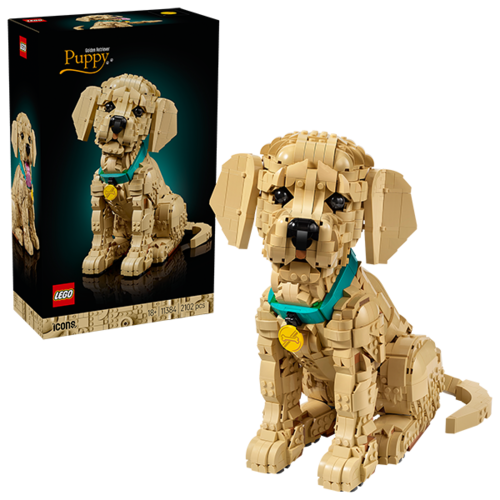 GOLDEN RETRIEVER PUPPY