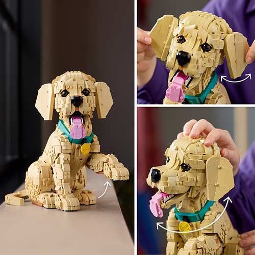 GOLDEN RETRIEVER PUPPY