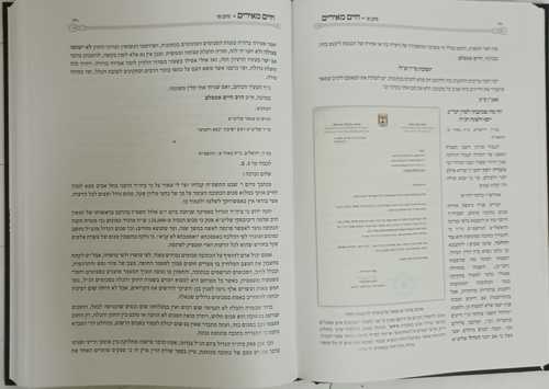 חיים מאירים