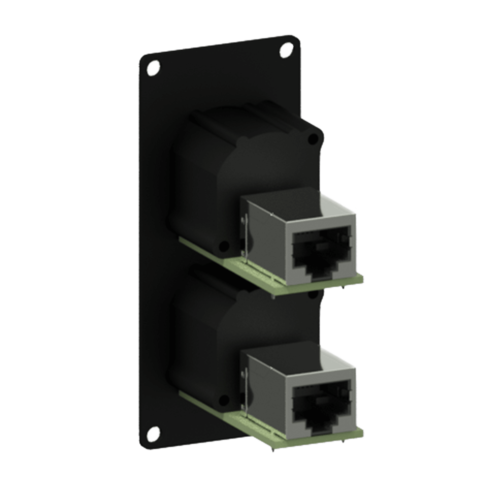 פנל 1 מקום כולל זוג פלאגים  Caymon CASY168/B EtherCON to RJ-45 - אלומניום שחור
