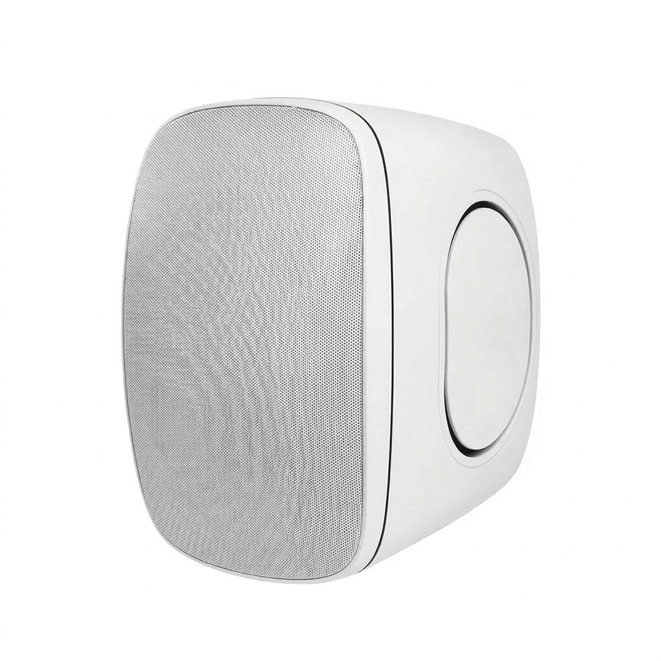 רמקול 8 אינצ’ חיצוני IP66 להתקנה בצבע לבן Polman PLM6060B