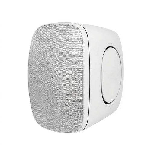 רמקול 8 אינצ’ חיצוני IP66 להתקנה בצבע לבן Polman PLM6060B