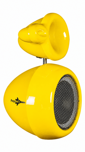 Pequod Scirone 21.1 yellow
