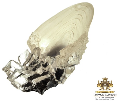 רפליקת גביע הקריסטל מהמערה – הארי פוטר | Harry Potter Crystal Goblet from the Cave Replica