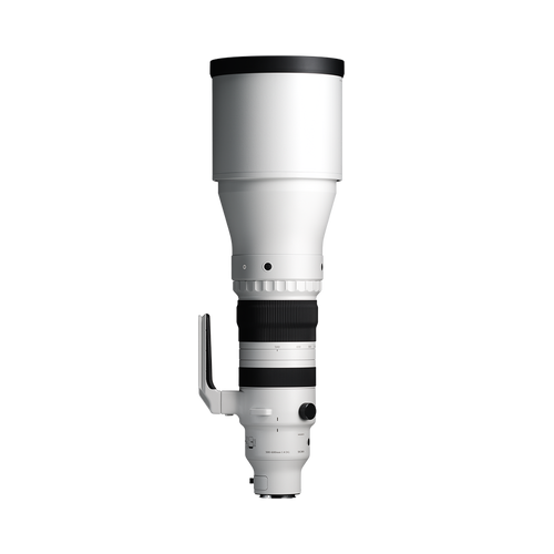 SIGMA 300-600mm F4 DG OS Sports L-Mount