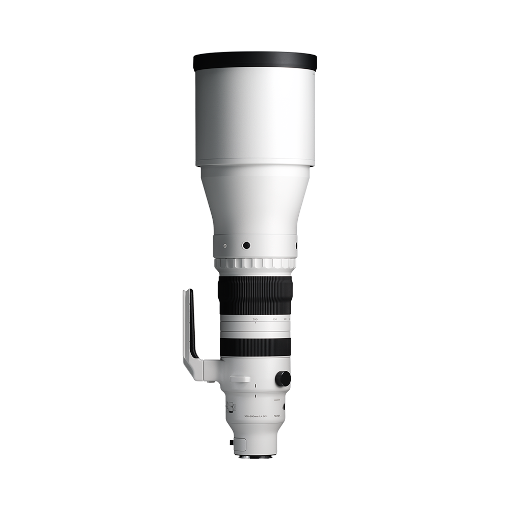 SIGMA 300-600mm F4 DG OS | Sports For L-Mount יבואן רשמי
