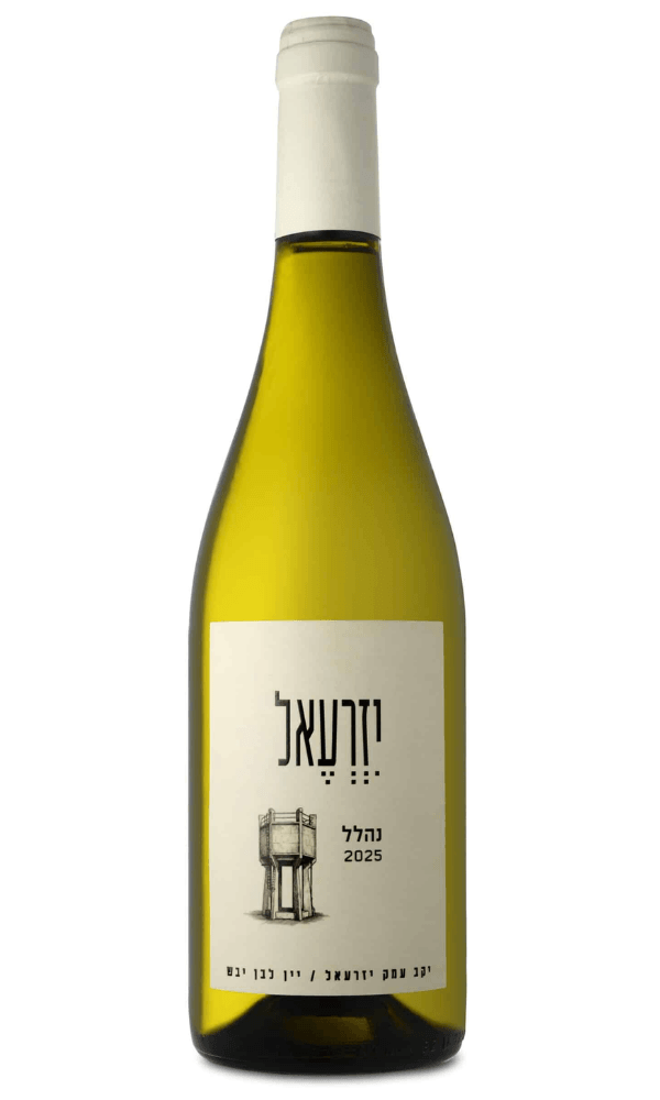 עמק יזרעאל נהלל לבן