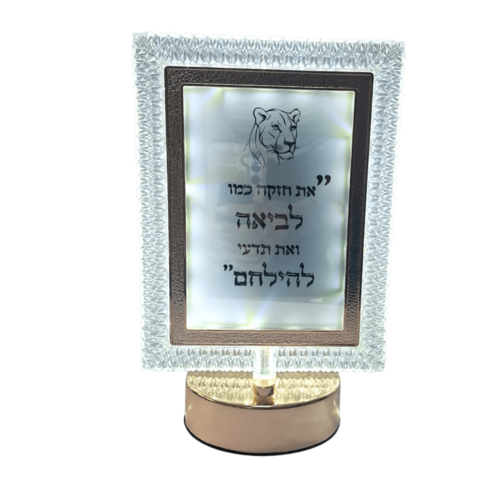 מסגרות מראה מעוצבות