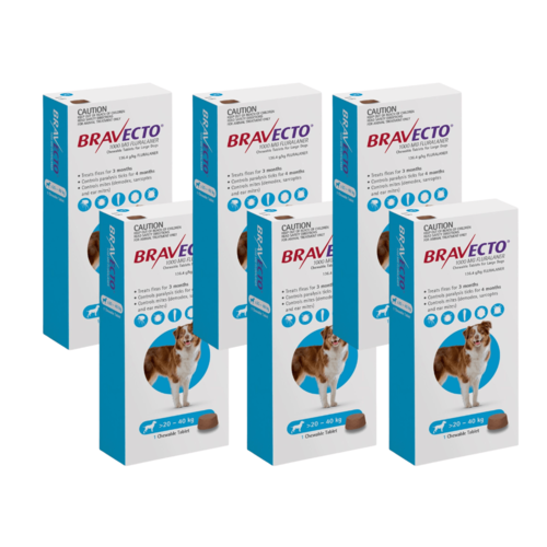 שישייה ברבקטו כדור נגד פרעושים וקרציות 20-40 BRAVECTO תוקף 10/27